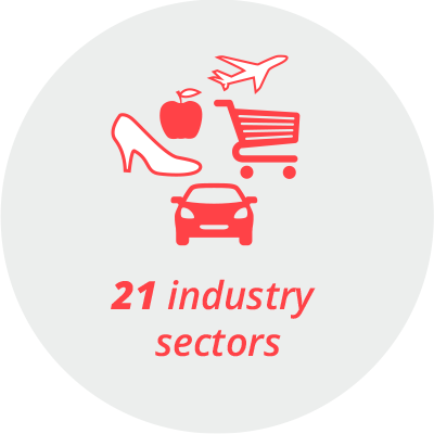 Pictogram "21 industry sectors": a car, a plane, a shopping cart, a shoe, an apple